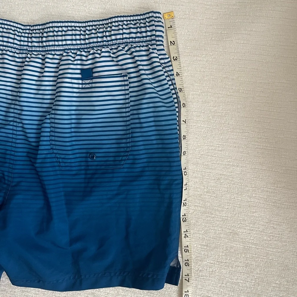 George Blue Ombre Stripe Swim Trunks